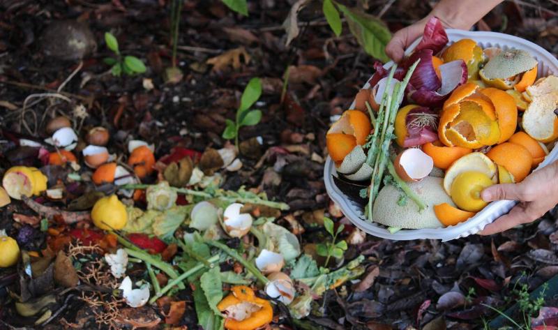 A person sprinkling food scraps in the dirt.