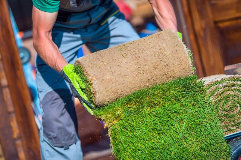 Grass Turfs Garden Work. Caucasian Gardener Preparing Grass For the Installation.