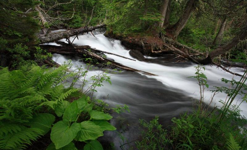 Siskiwit River in Isle Royale National Park