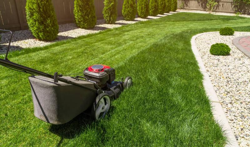 A half-mowed lawn, the mower being pushed along an incomplete section.