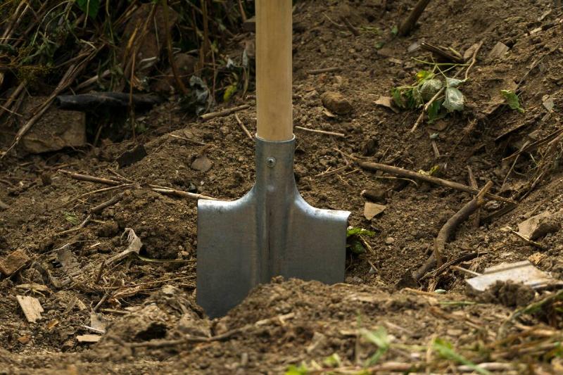 A shovel with a wooden handle stuck in the ground.