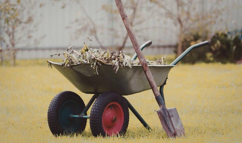 A wheelbarrow full of gardening debris.