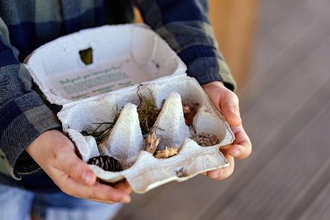 the-child-collects-natural-treasures-in-the-yard-2026-01-06-11-03-23-utc