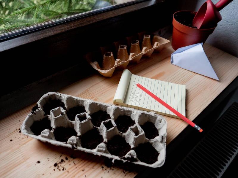 vegetable seeds in egg cartons and note with pencil on sill