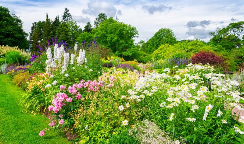 A large, lush garden.