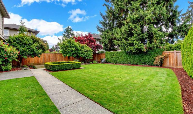 A bright, healthy lawn under a blue sky.