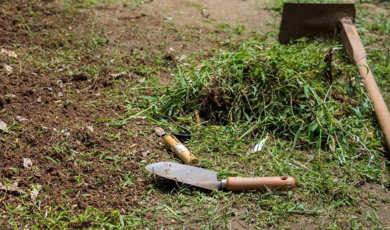 A pile of pulled weeds next to a hoe and a trowel.