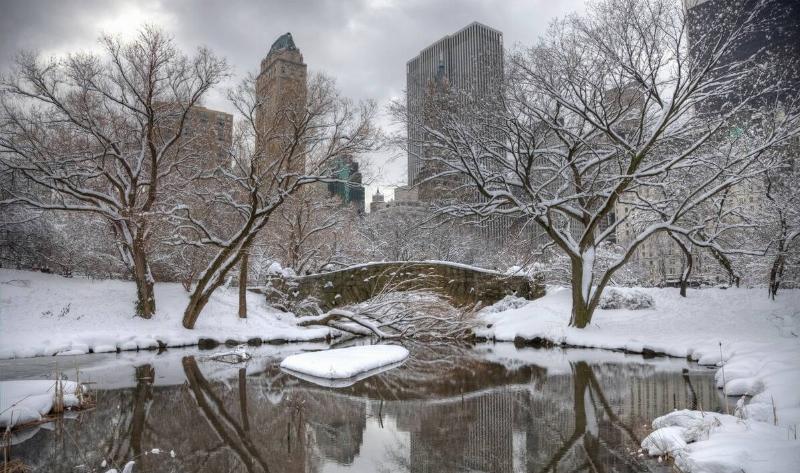 A snowy city part, tall city buildings in the background.