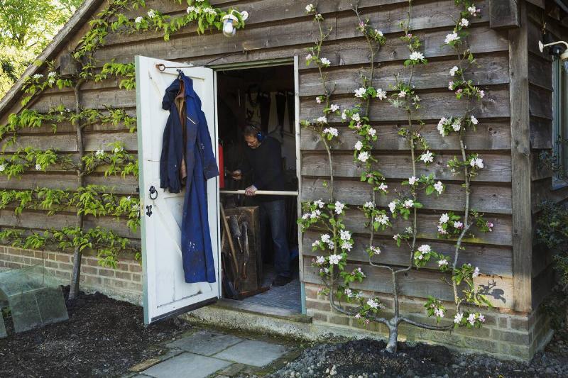 A garden shed workshop with plants trained up the outside, flowering. View through the open door of a man at work.