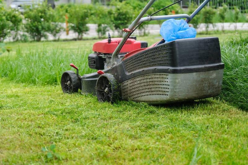 Closeup of lawn mower mowing green grass, city courtyard of an apartment building.