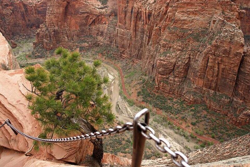 Climbing up to Angel's Landing (Zion National Park).