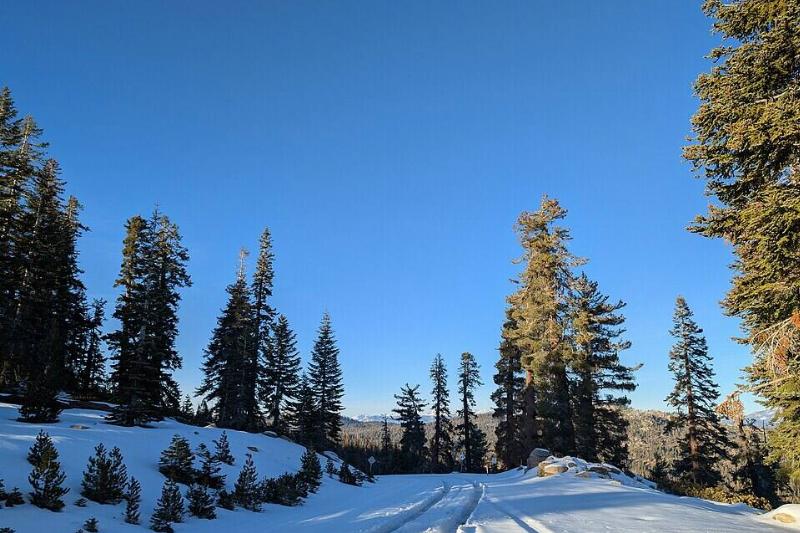 Sequoia National Forest in winter. 