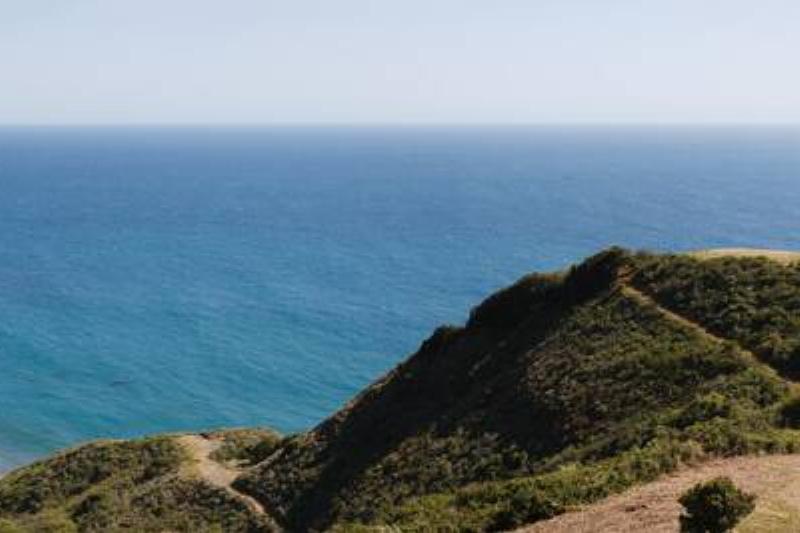 Big Sur in May 2011.