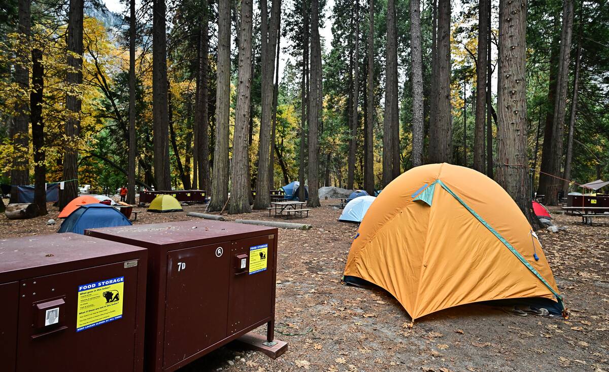 Tents pitched in Yosemite National park. 