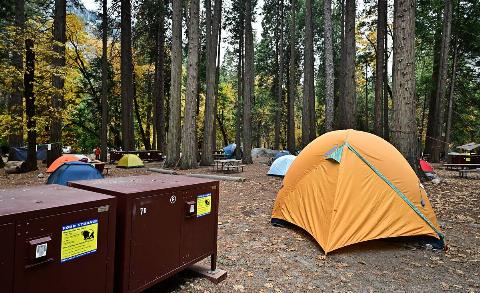 Tents pitched in Yosemite National park. 