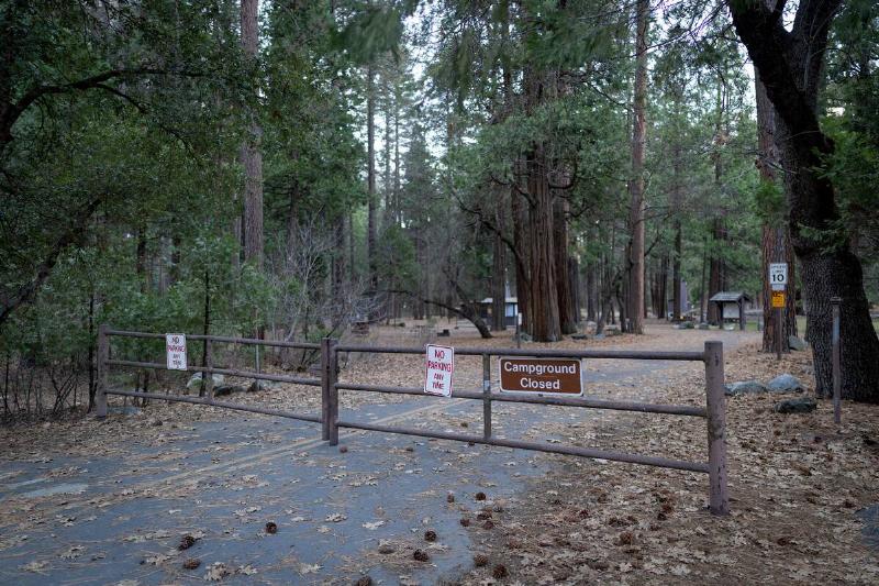 Lower Pines campground during winter in Yosemite Valley in Yosemite National Park.