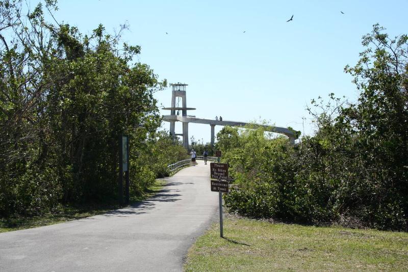 Shark Valley Tram Road and Trail.