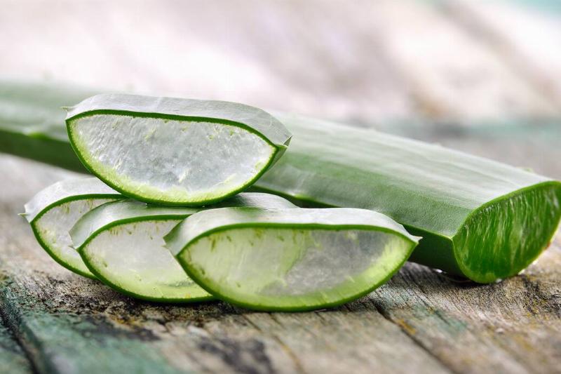 Cut up pieces of an aloe vera plant. 