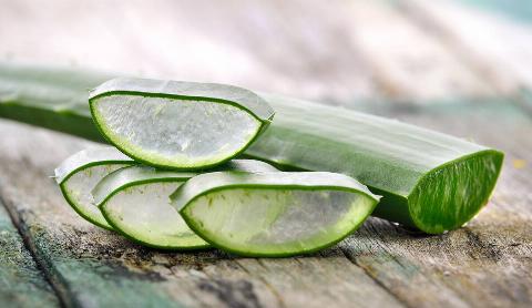 Cut up pieces of an aloe vera plant. 