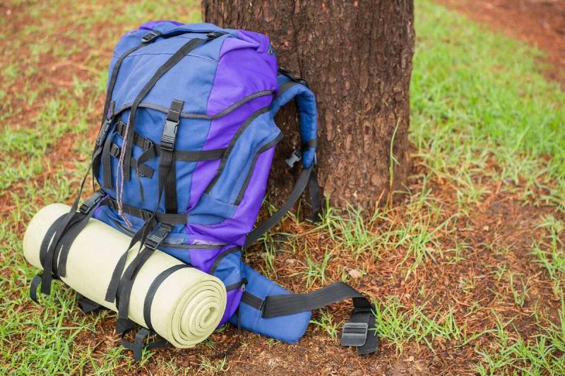 An hiking backpack and sleeping mat leaning on a tree.