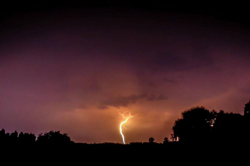 A large lightening strike hitting the groundn ear dark trees. 