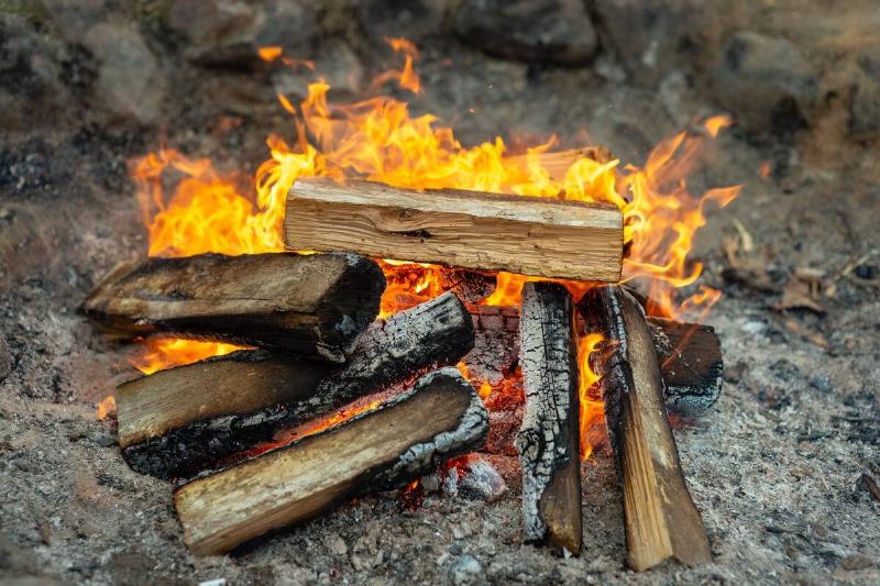 Logs burning in a campfire. 