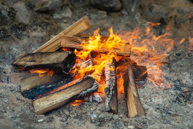Pine wood burning in a fire. 