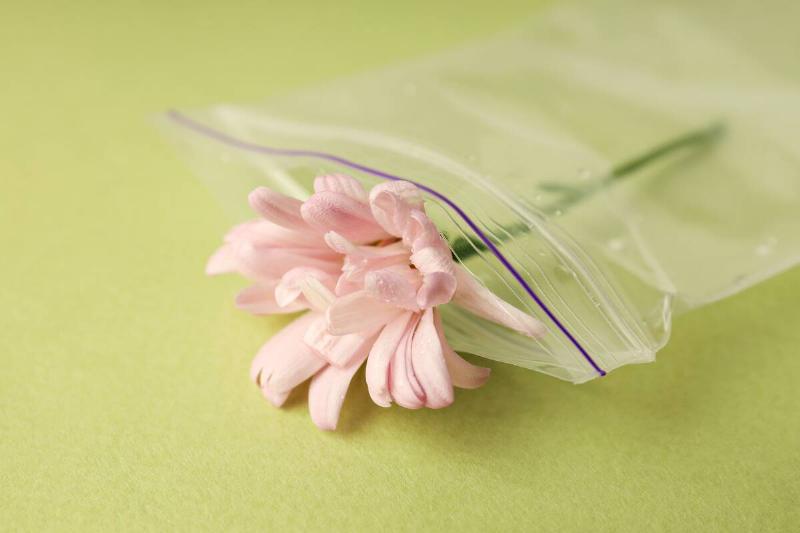 A Ziploc bag holding a flower. 