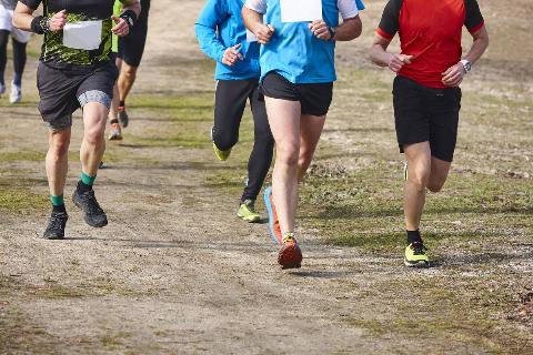 Cross country runners on a race.