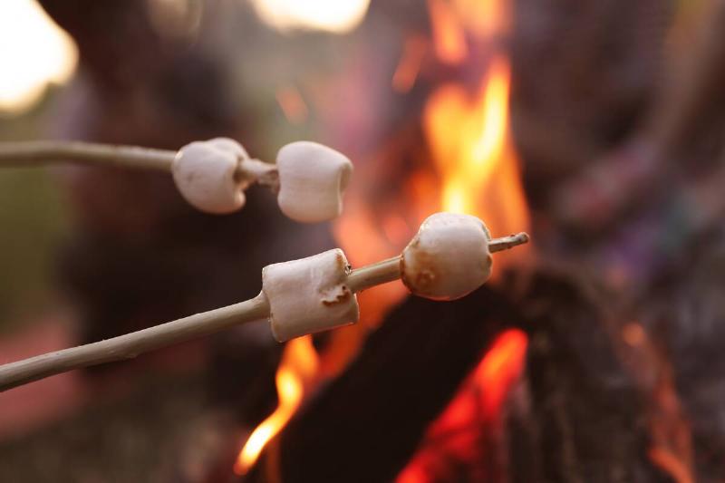Fried marshmallows on a stick over a campfire. 