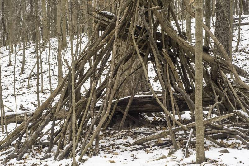 A shelter made out of branches in a snowy forest. 