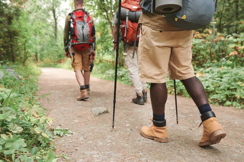 Three hikers walking together on a path in a forest.