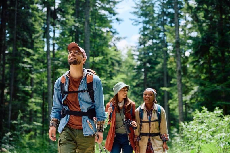 Group of young hikers walking through the woods.