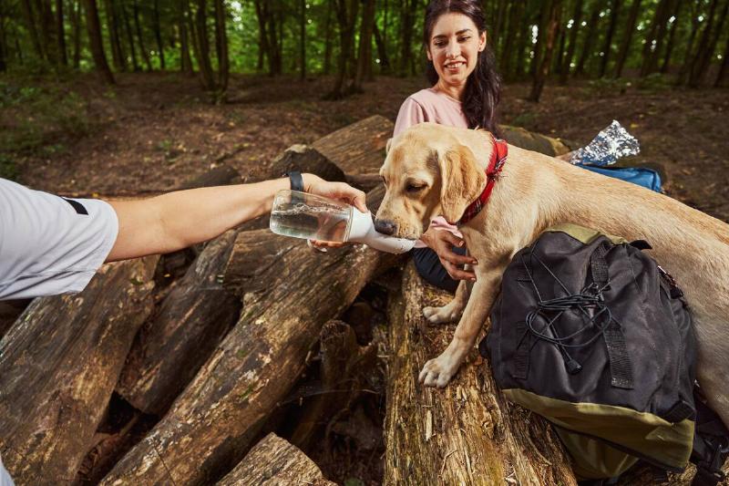 A man giving a dog water from a bottle in a forest with a woman. 