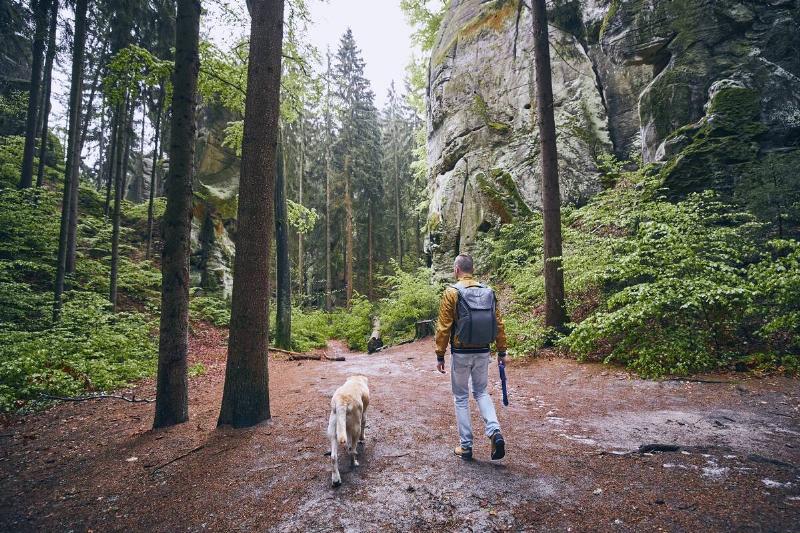 A man with his dog walking on a footpath in the middle of the forest.
