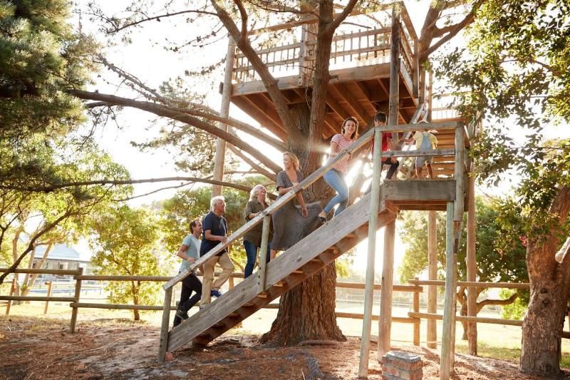 A family walking up steps to a treehouse. 