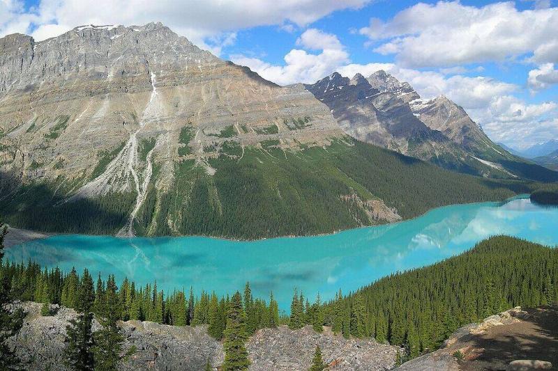 Peyto lake, Banff.
