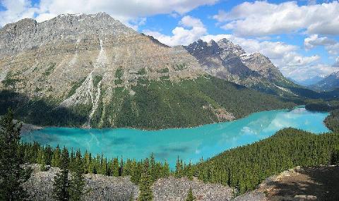 Peyto lake, Banff.