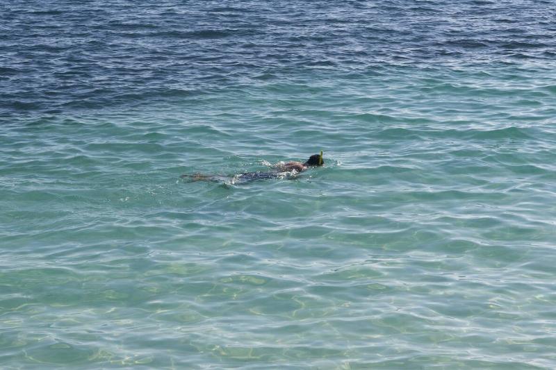 Adult snorkeling in tropical waters. 