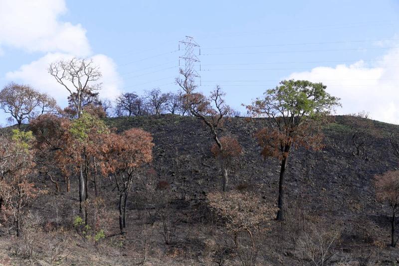 A hilltop in Brazil. 