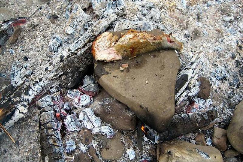 Fish cooking on a rock. 