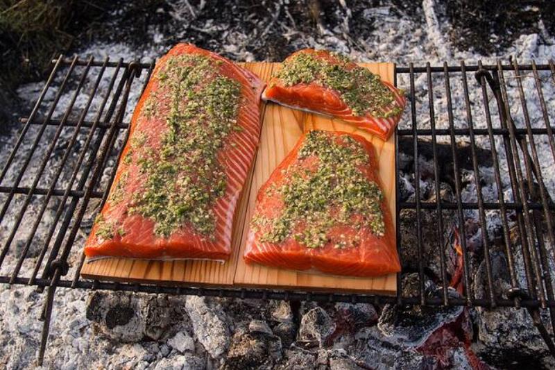Pink salmon cooking on a plank. 