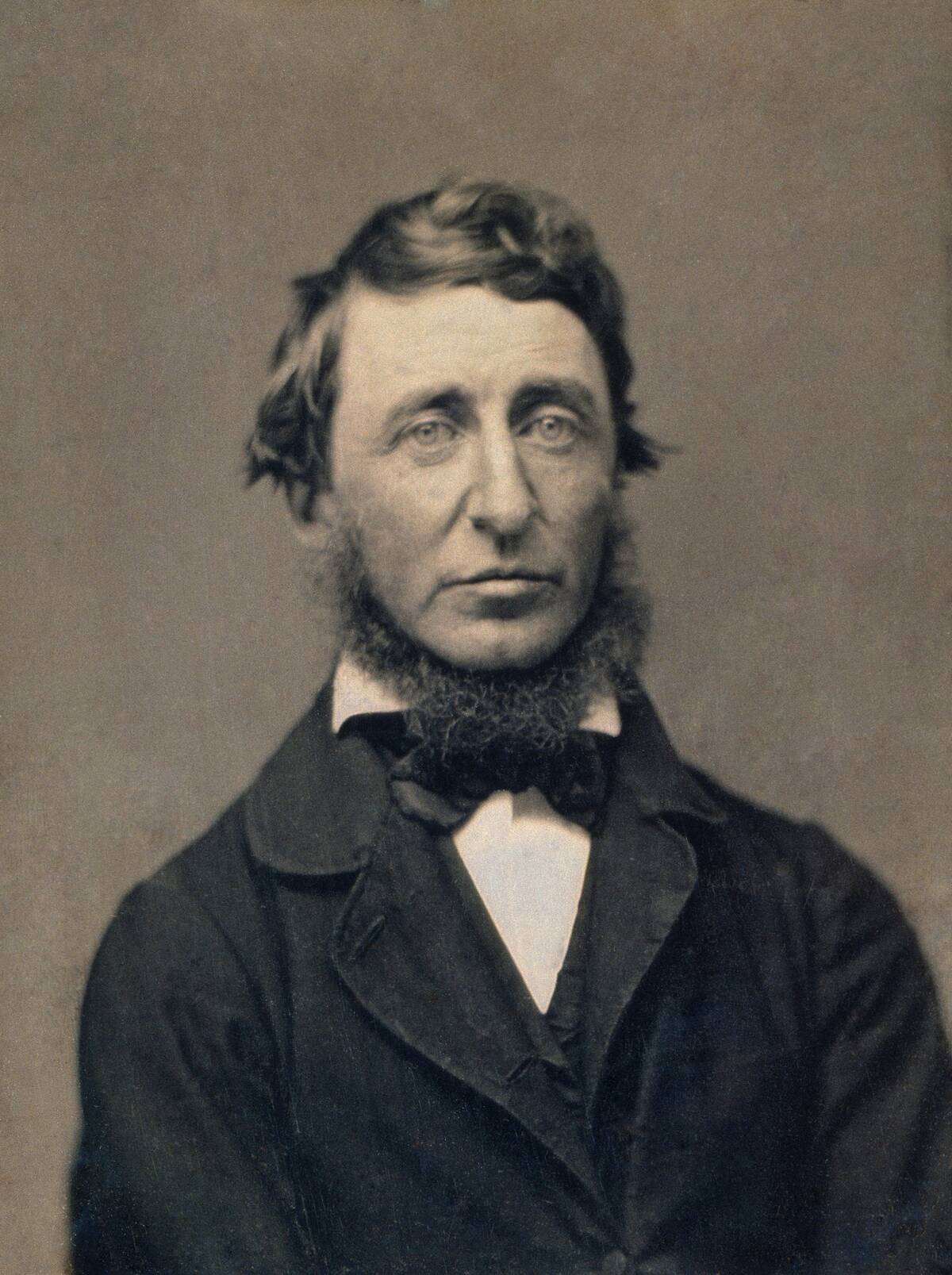 A portrait of Henry David Thoreau.