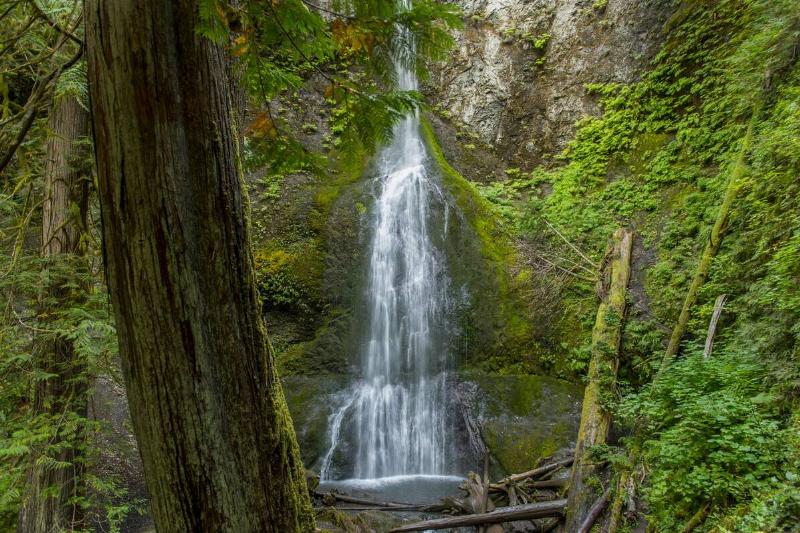 View of Marymere Falls on the Olympic Peninsula in the Olympic National Park.