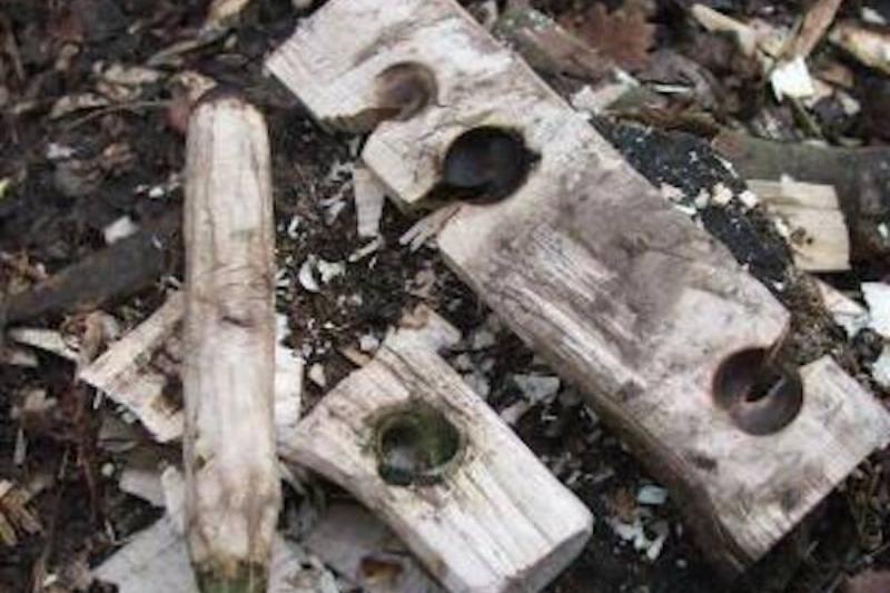 Pieces of a bowdrill.