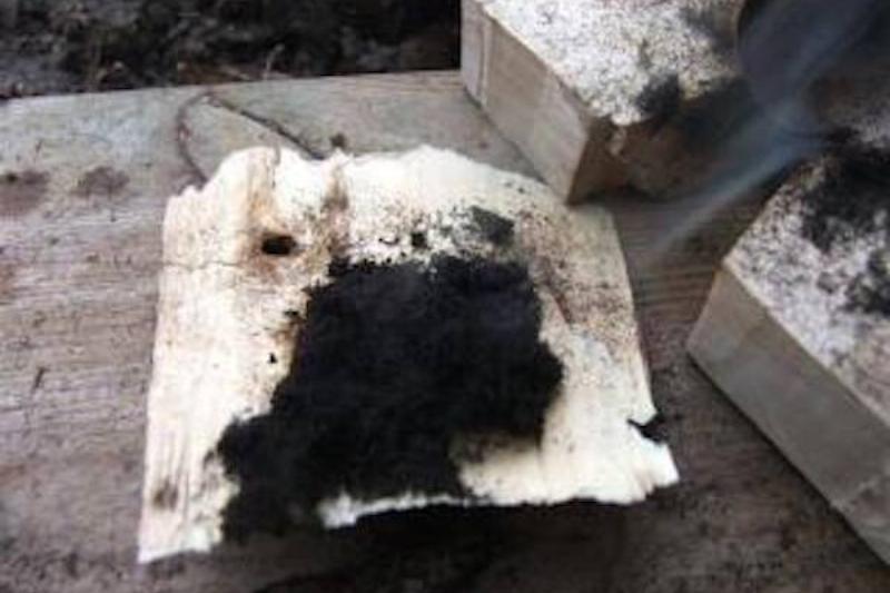 Dust from bowdrill. 