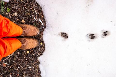 Feet of man with shoes standing in front of a snowy field.