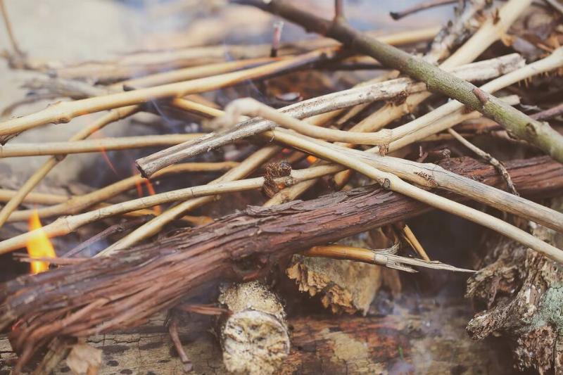 Dry sticks for kindling. 