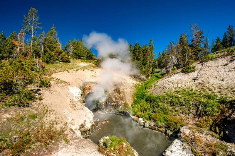 Hot boiling mud at Mud Volcano area in Yellowstone National Park.