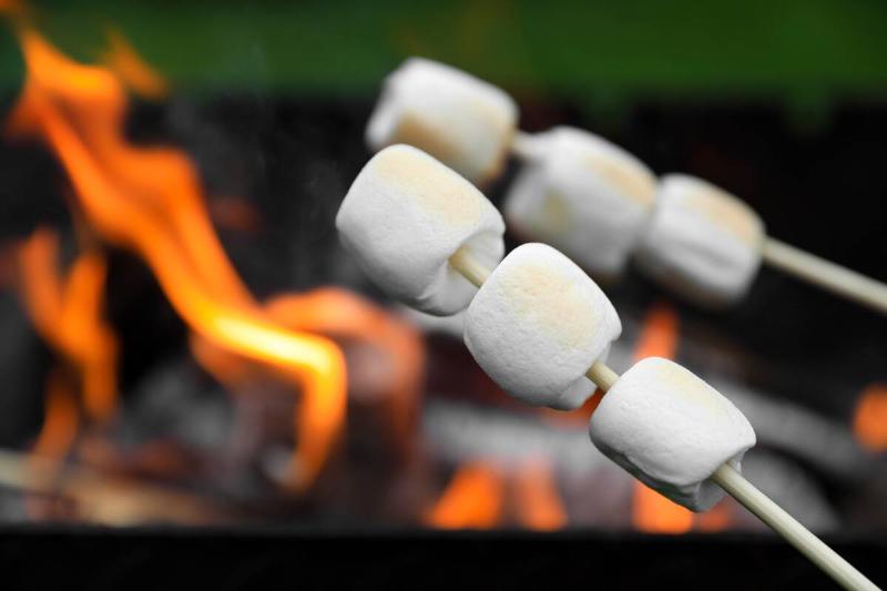 Delicious puffy marshmallows roasting over bonfire.